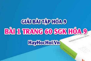 Giải bài 1 trang 60 SGK Hóa 9: Tính chất hóa học của SẮT Fe